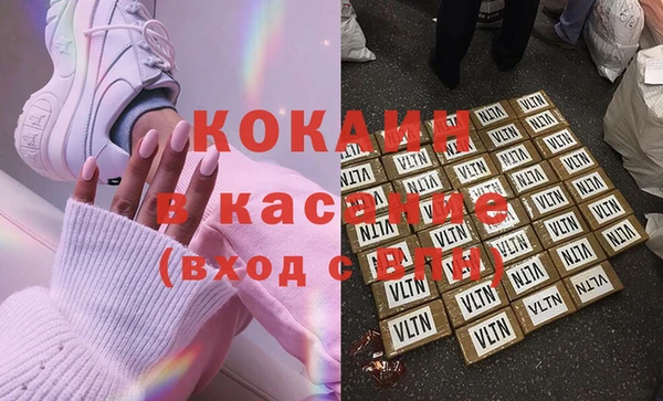 гашик Алексин