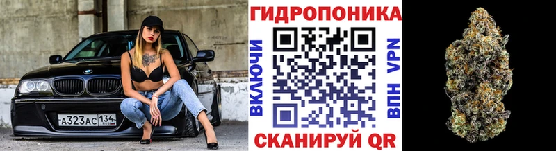 Бошки Шишки Amnesia  Железногорск 
